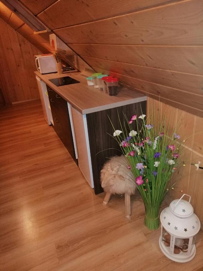 Willa U Magdy Zakopane Esterno foto